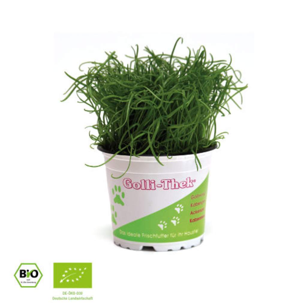 Golli-Thek® Plantolli